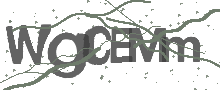 Captcha Bild