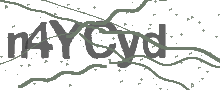 Captcha Bild