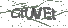 Captcha Bild