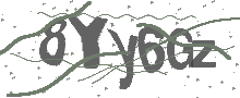 Captcha Bild