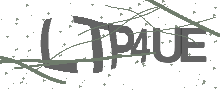 Captcha Bild