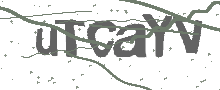 Captcha Bild