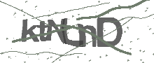 Captcha Bild