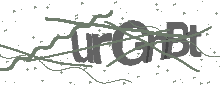 Captcha Bild