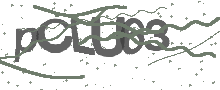 Captcha Bild