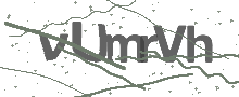 Captcha Bild