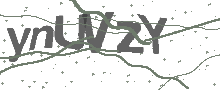 Captcha Bild