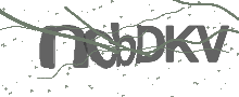 Captcha Bild