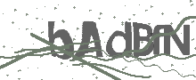 Captcha Bild