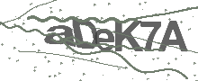 Captcha Bild