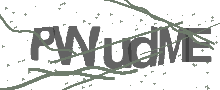 Captcha Bild