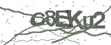 Captcha Bild