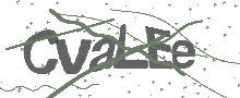 Captcha Bild