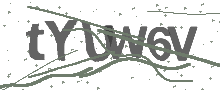 Captcha Bild