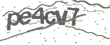 Captcha Bild