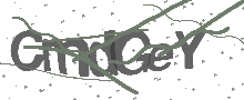 Captcha Bild