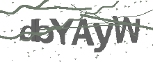 Captcha Bild