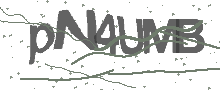 Captcha Bild