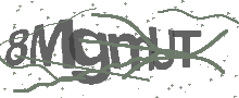 Captcha Bild