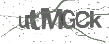 Captcha Bild