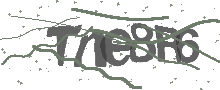 Captcha Bild