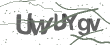 Captcha Bild