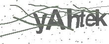 Captcha Bild