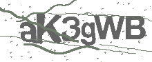 Captcha Bild