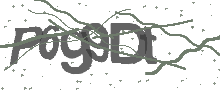 Captcha Bild