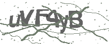 Captcha Bild