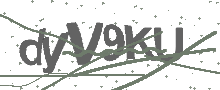 Captcha Bild