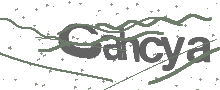 Captcha Bild