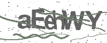 Captcha Bild