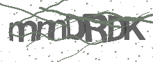 Captcha Bild
