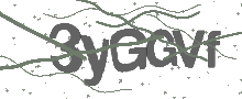 Captcha Bild