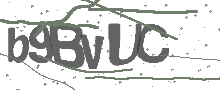 Captcha Bild