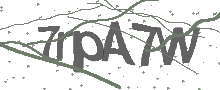 Captcha Bild