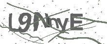 Captcha Bild