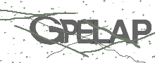 Captcha Bild