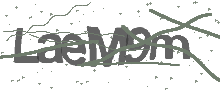 Captcha Bild