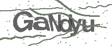 Captcha Bild