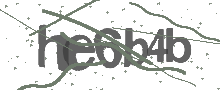 Captcha Bild