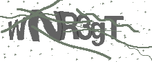 Captcha Bild