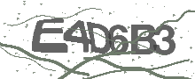 Captcha Bild