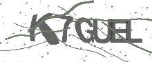 Captcha Bild