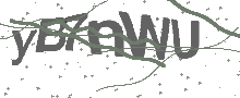 Captcha Bild