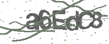 Captcha Bild