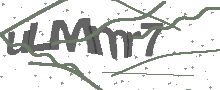 Captcha Bild