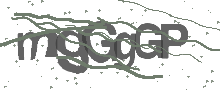 Captcha Bild