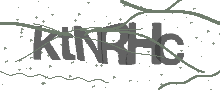 Captcha Bild
